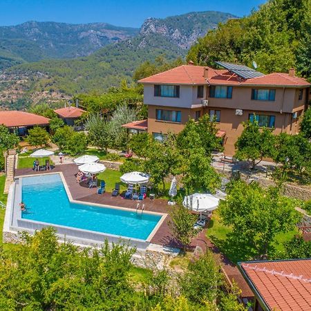 Avena Mountain Hotel - Adults Only ألانيا المظهر الخارجي الصورة