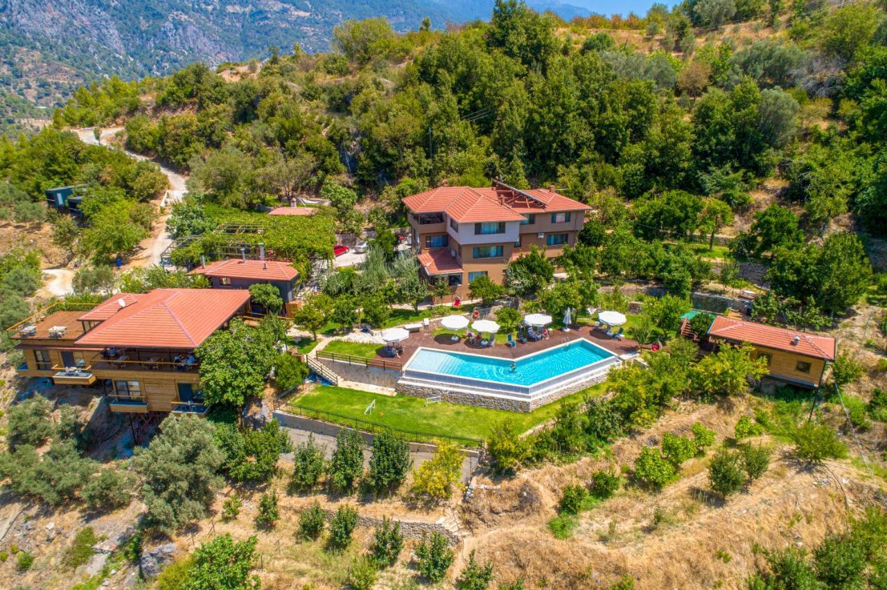 Avena Mountain Hotel - Adults Only ألانيا المظهر الخارجي الصورة